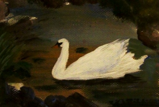 A Quiet Pond